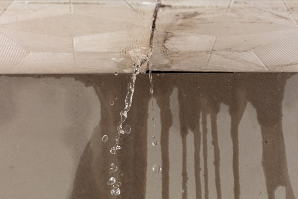 Professional Structural Drying technician working in Dunlap, CA